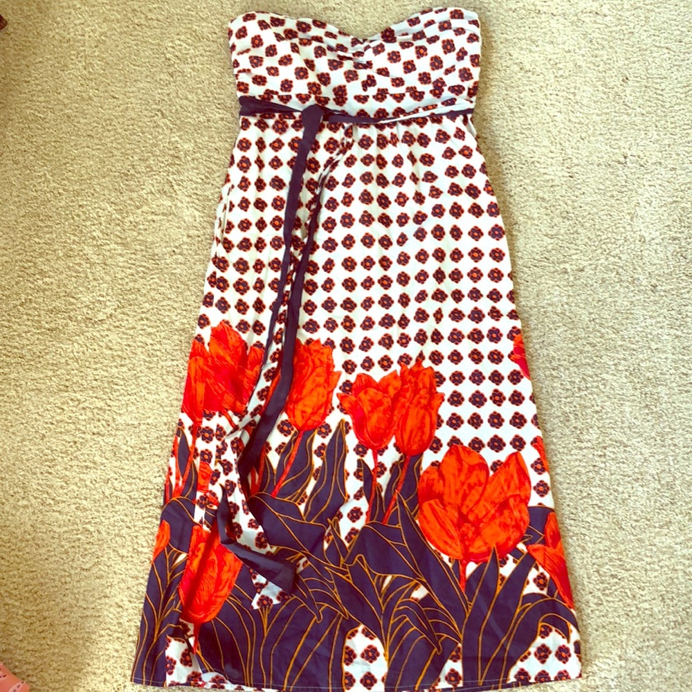 Anthropologie Long Dress
